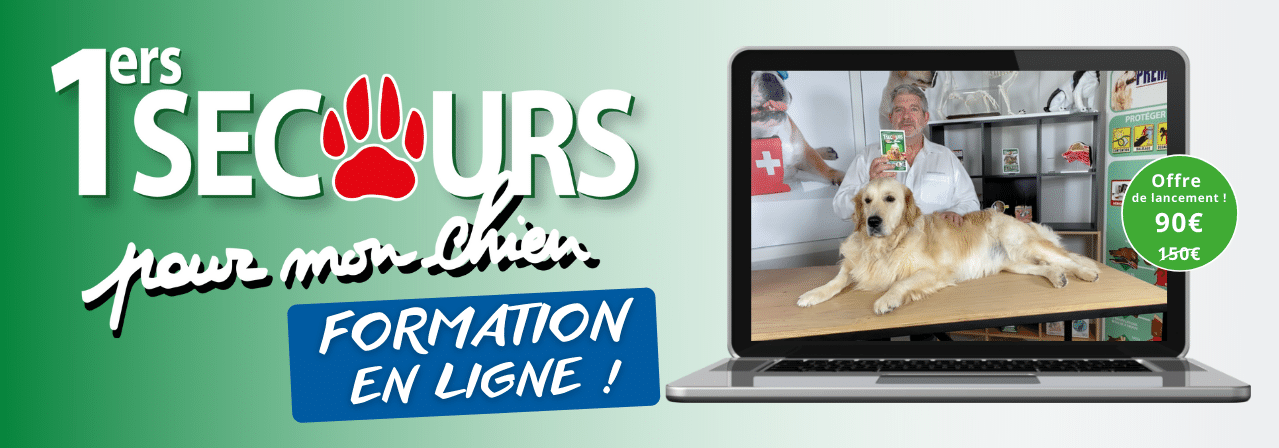 FORMATION EN LIGNE AUX PREMIERS SECOURS POUR MON CHIEN